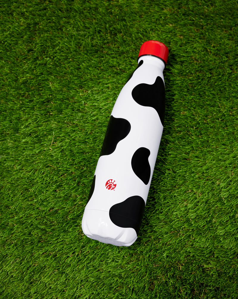 Insulated Water Bottle
